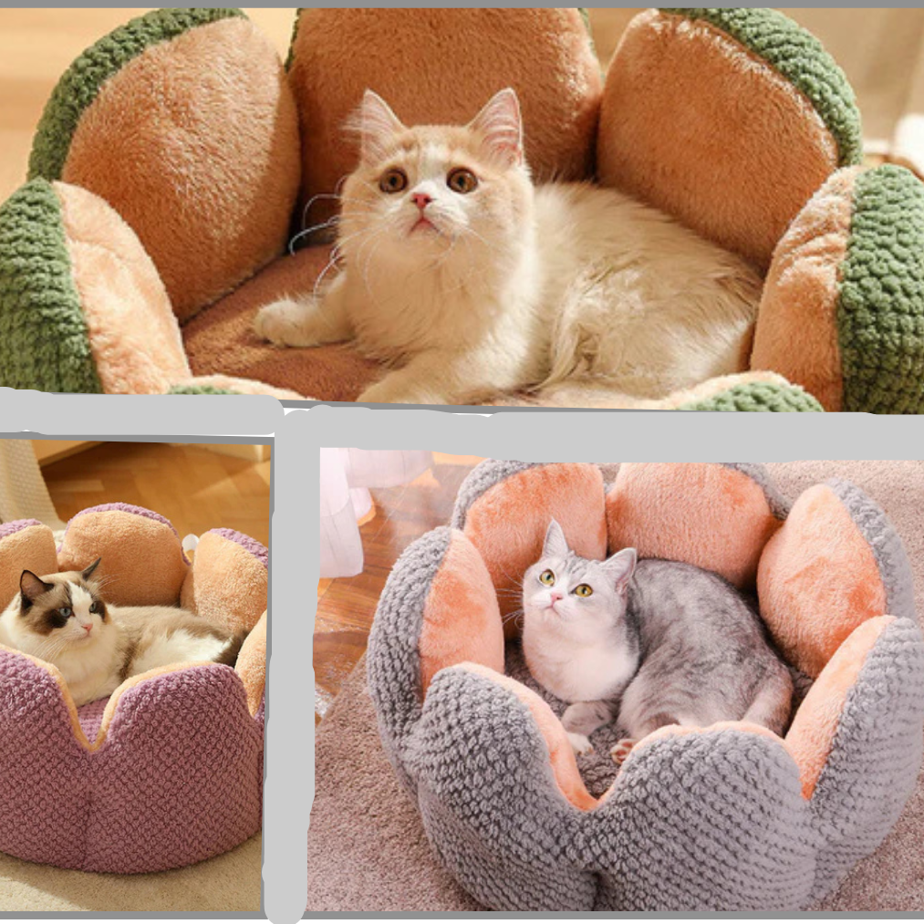 Lit pour Animaux CozyCactus™
